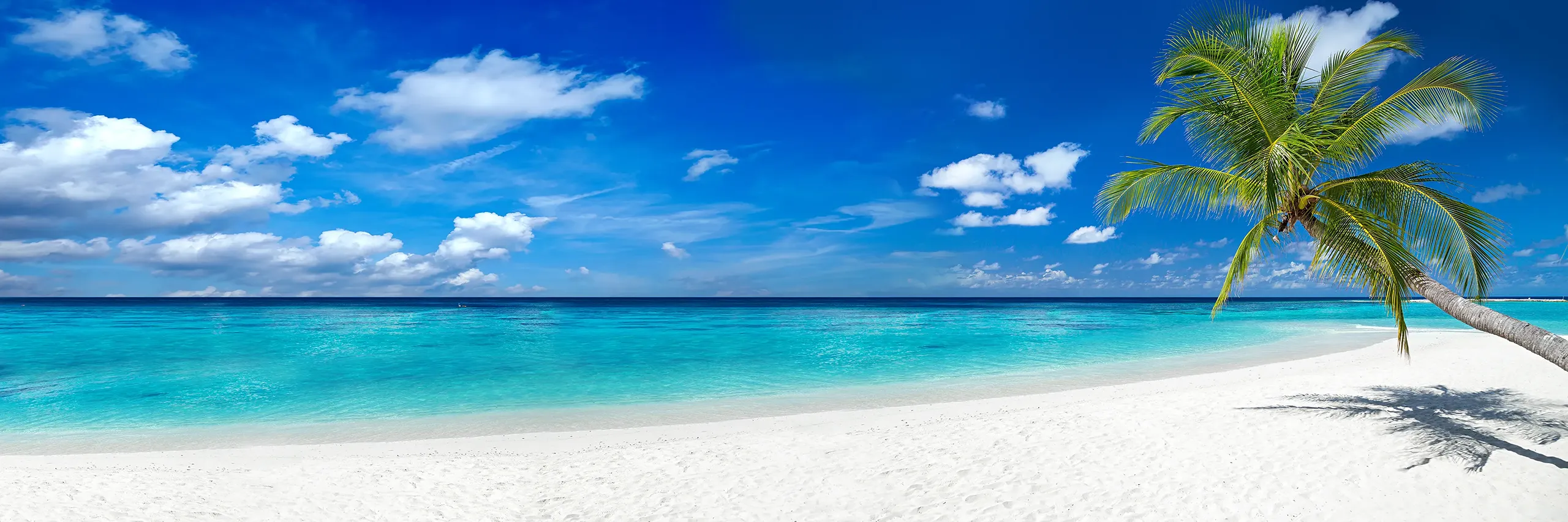 AdobeStock_158283371_Strand