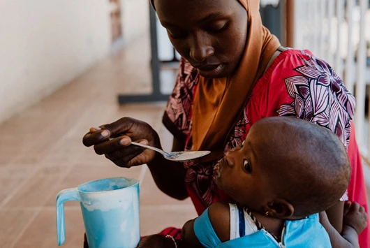 Kran hebt Laminator von Transporter