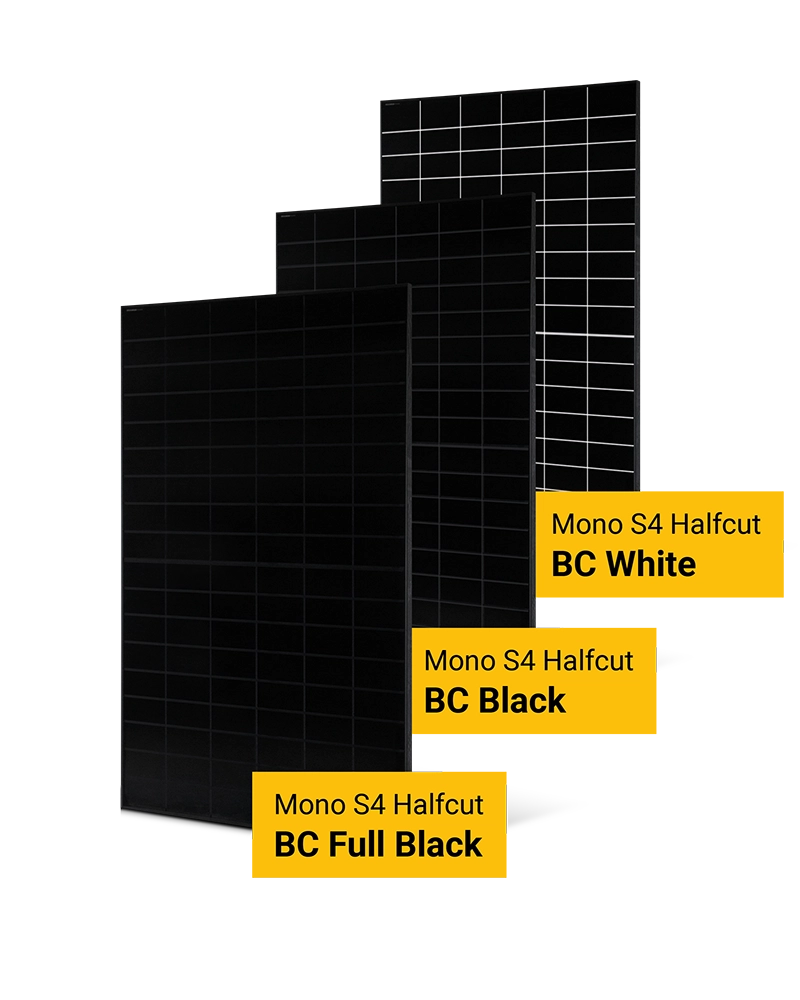 Die BC Module BC Full Black, BC Black und BC White