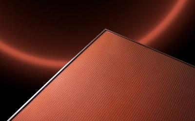 Neues Modul: Wir bringen Farbe ins Portfolio!